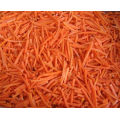 Organic Fresh Carrot from China